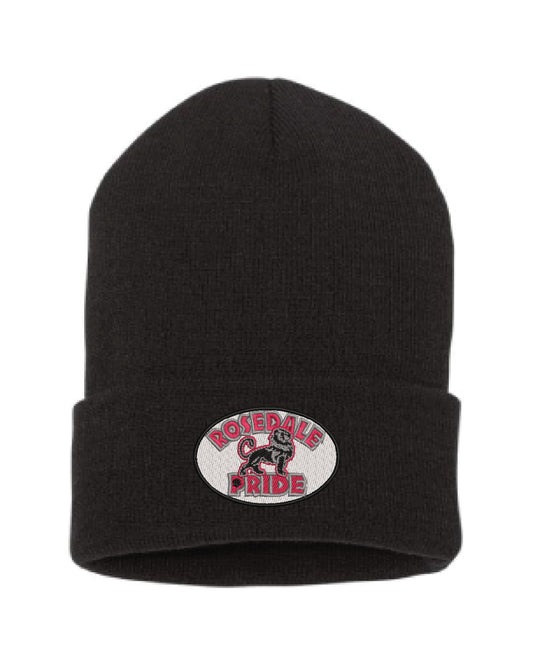 Cuffed Beanie