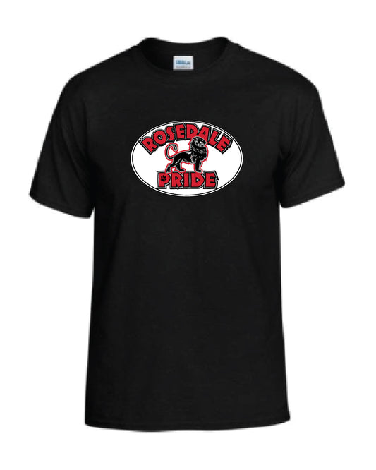 Adult  Softstyle T-Shirt