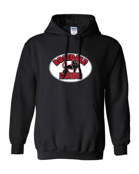 Heavy Blend Hooded Sweatshirt